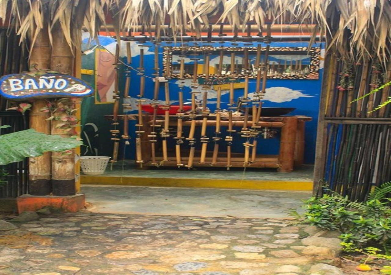 La Natura Hostel & Pool Паломино Екстериор снимка