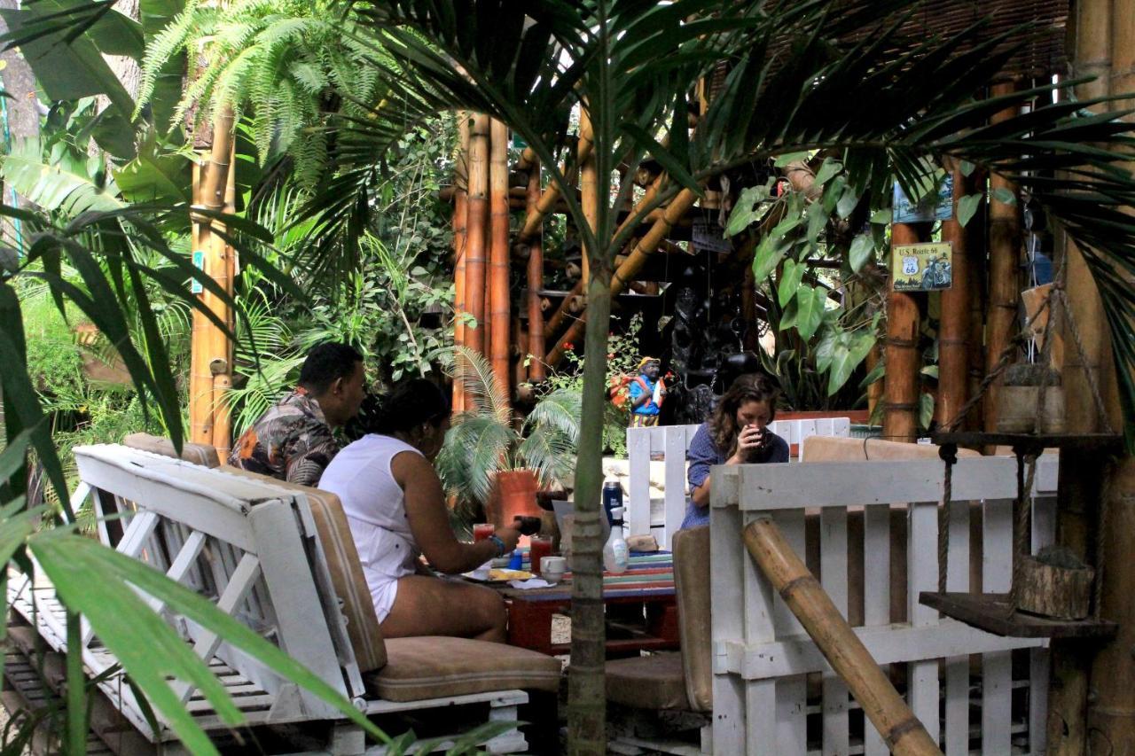 La Natura Hostel & Pool Паломино Екстериор снимка