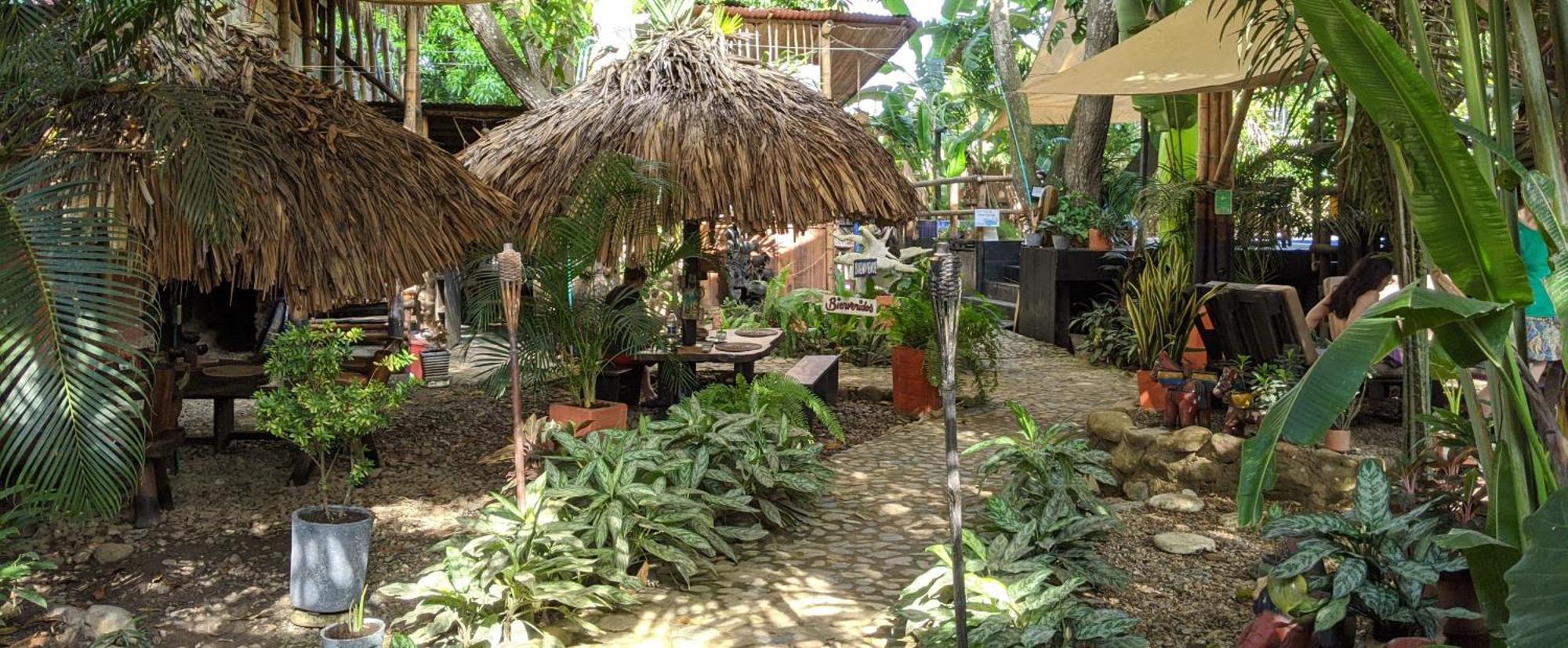La Natura Hostel & Pool Паломино Екстериор снимка