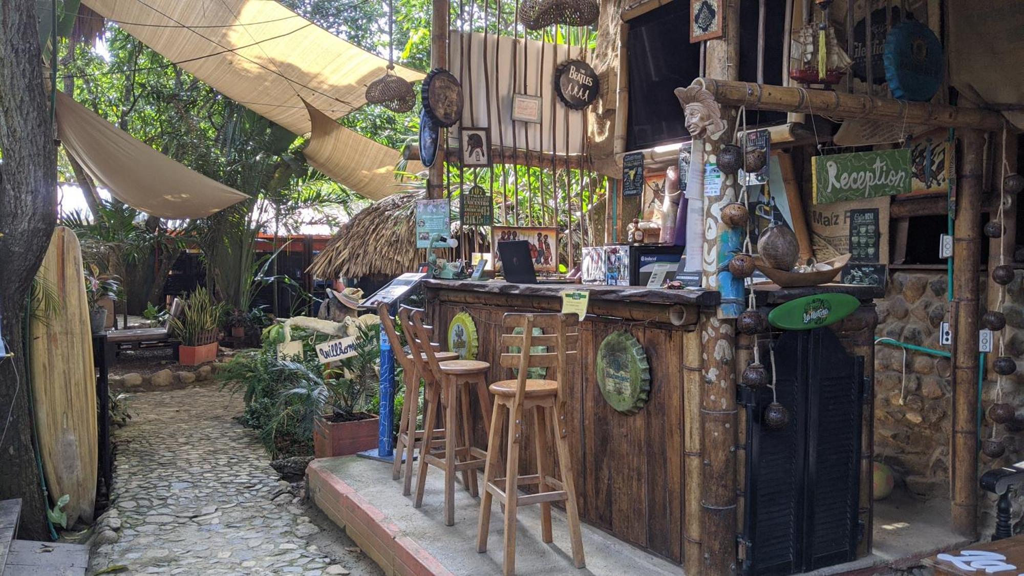 La Natura Hostel & Pool Паломино Екстериор снимка