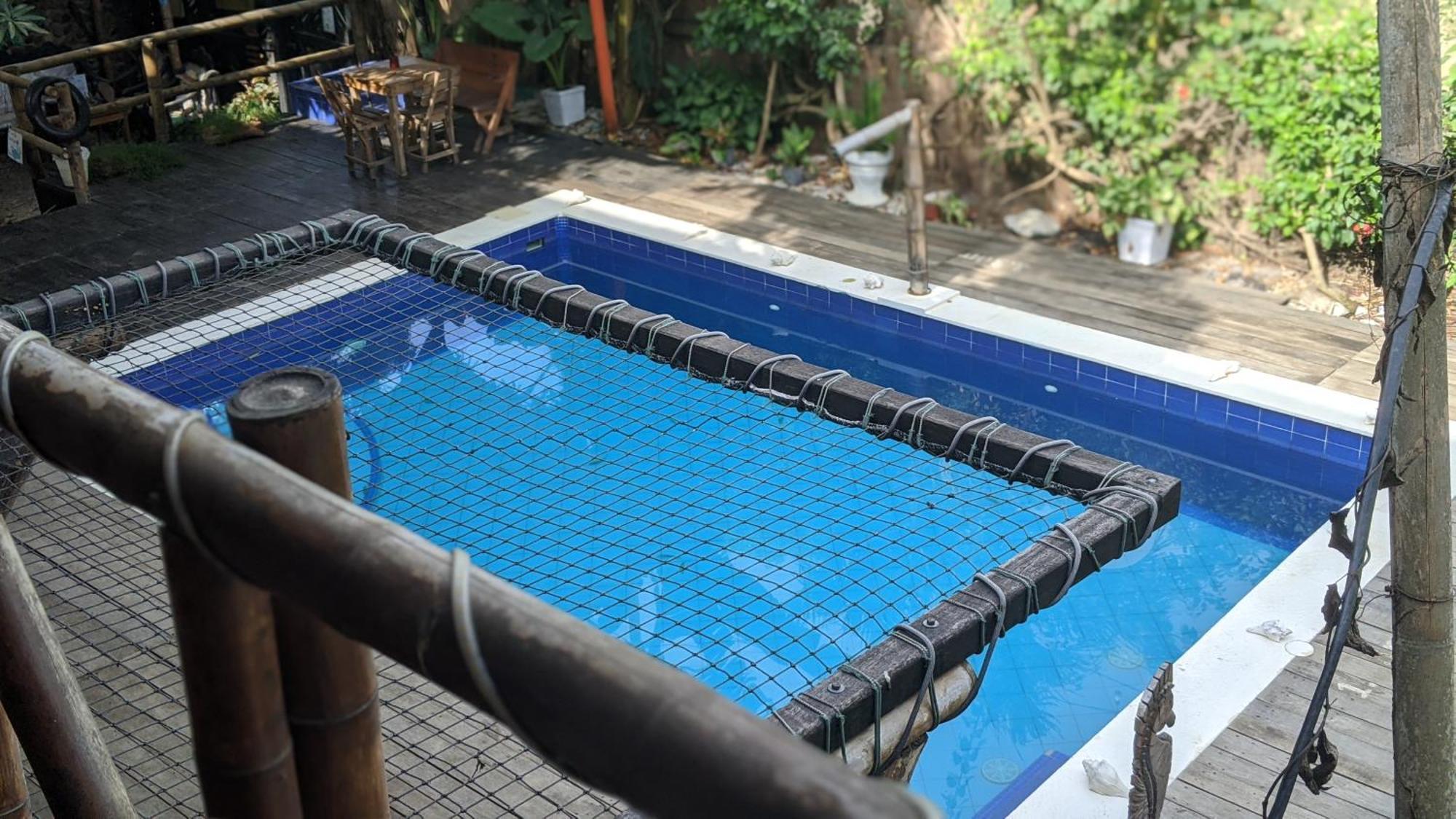 La Natura Hostel & Pool Паломино Екстериор снимка