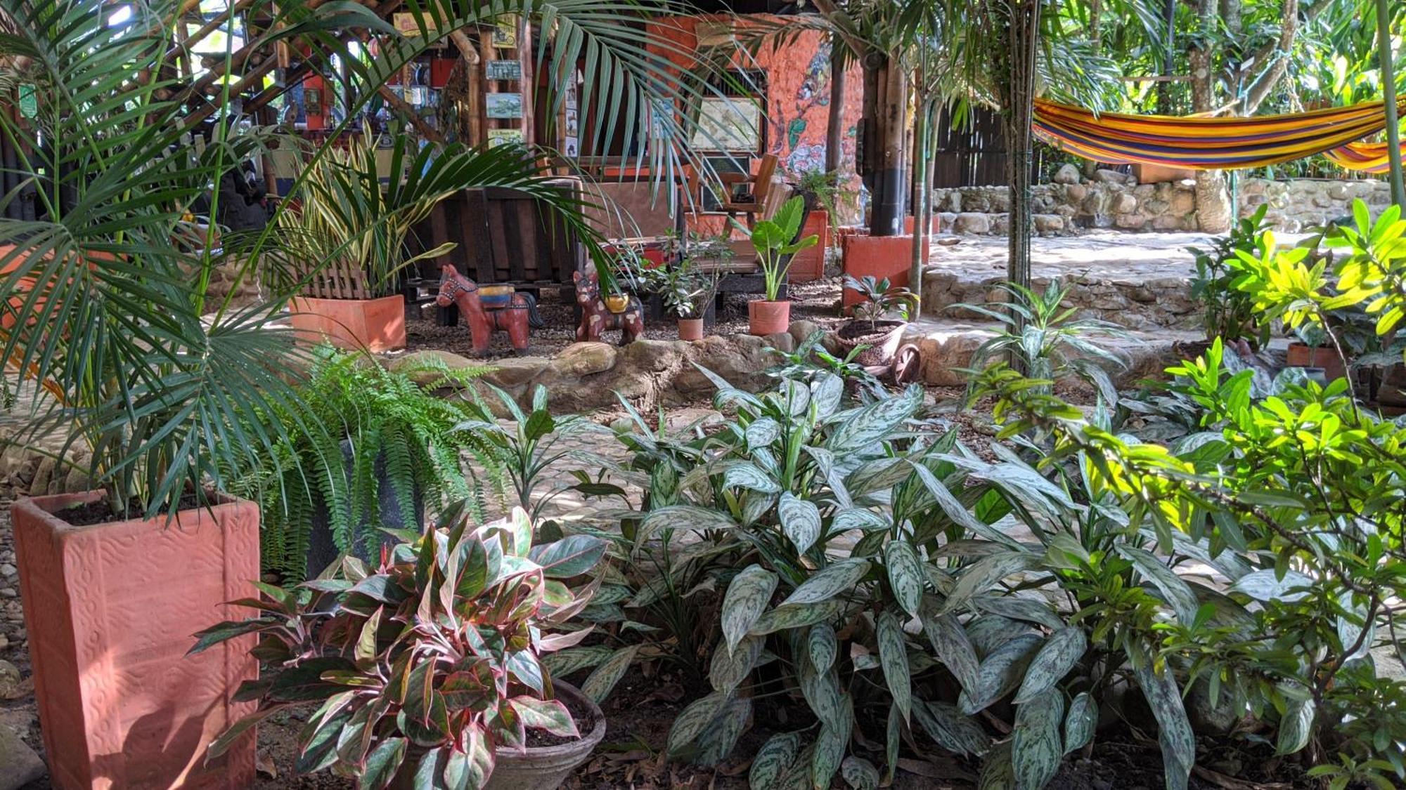 La Natura Hostel & Pool Паломино Екстериор снимка