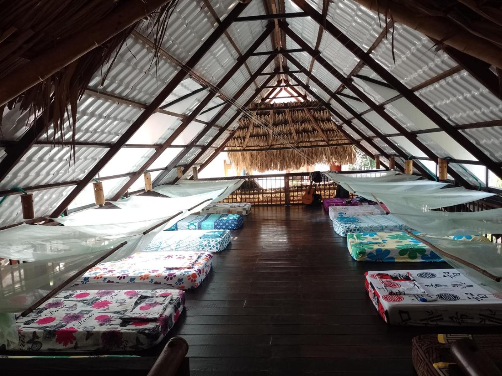 La Natura Hostel & Pool Паломино Екстериор снимка