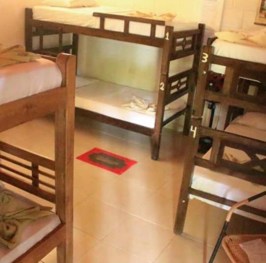 La Natura Hostel & Pool Паломино Екстериор снимка