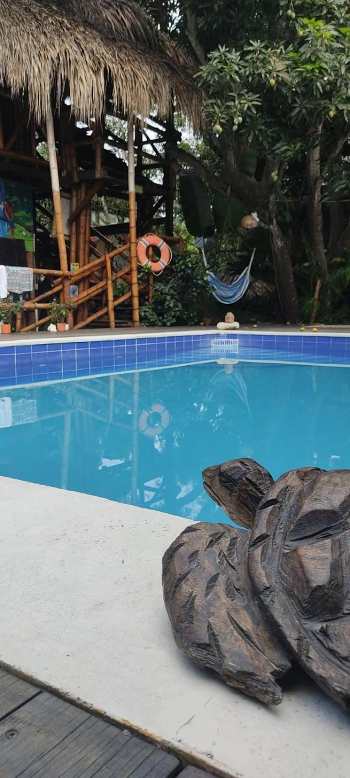 La Natura Hostel & Pool Паломино Екстериор снимка