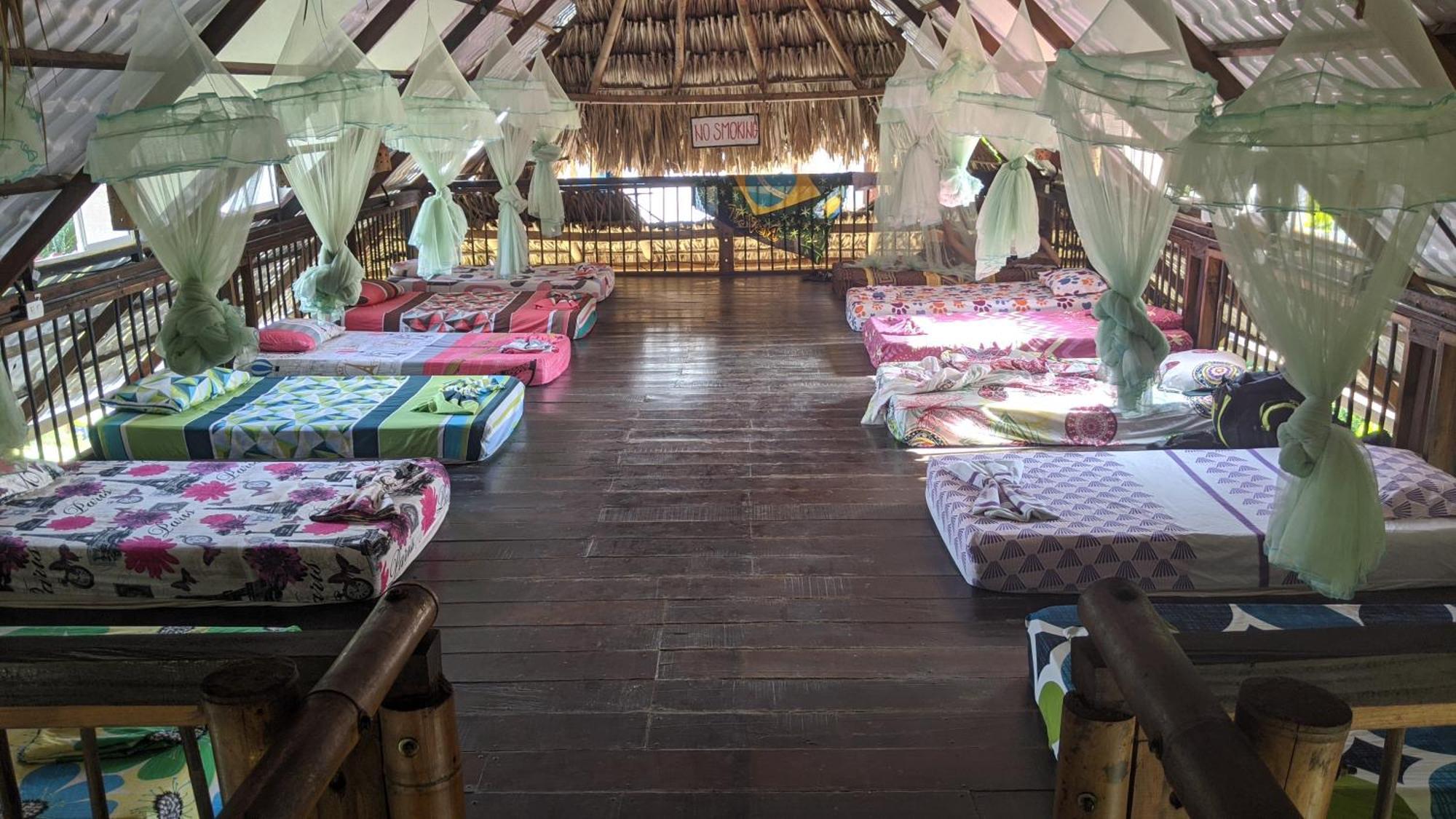 La Natura Hostel & Pool Паломино Екстериор снимка