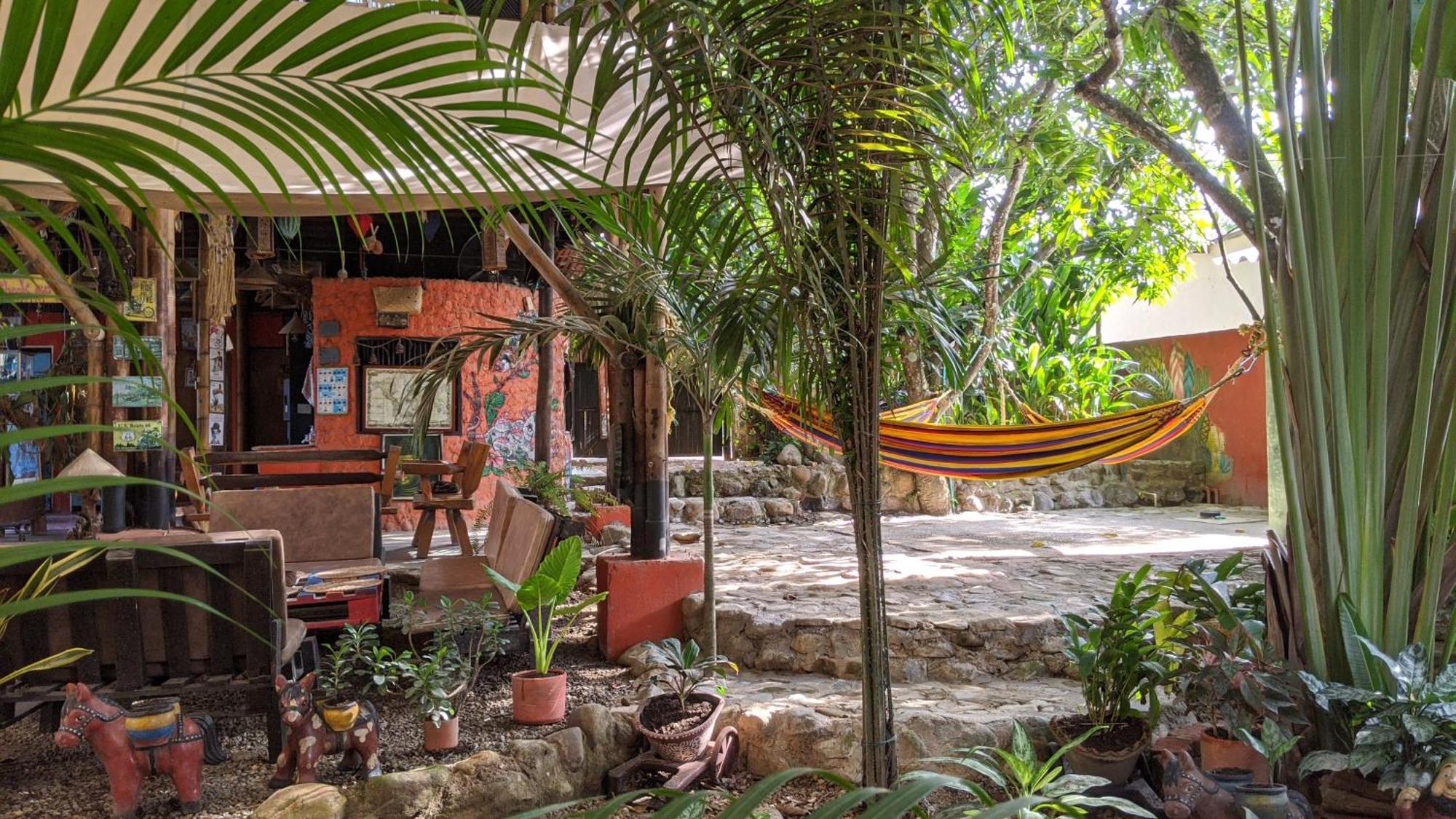 La Natura Hostel & Pool Паломино Екстериор снимка