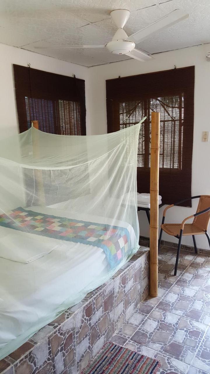 La Natura Hostel & Pool Паломино Екстериор снимка