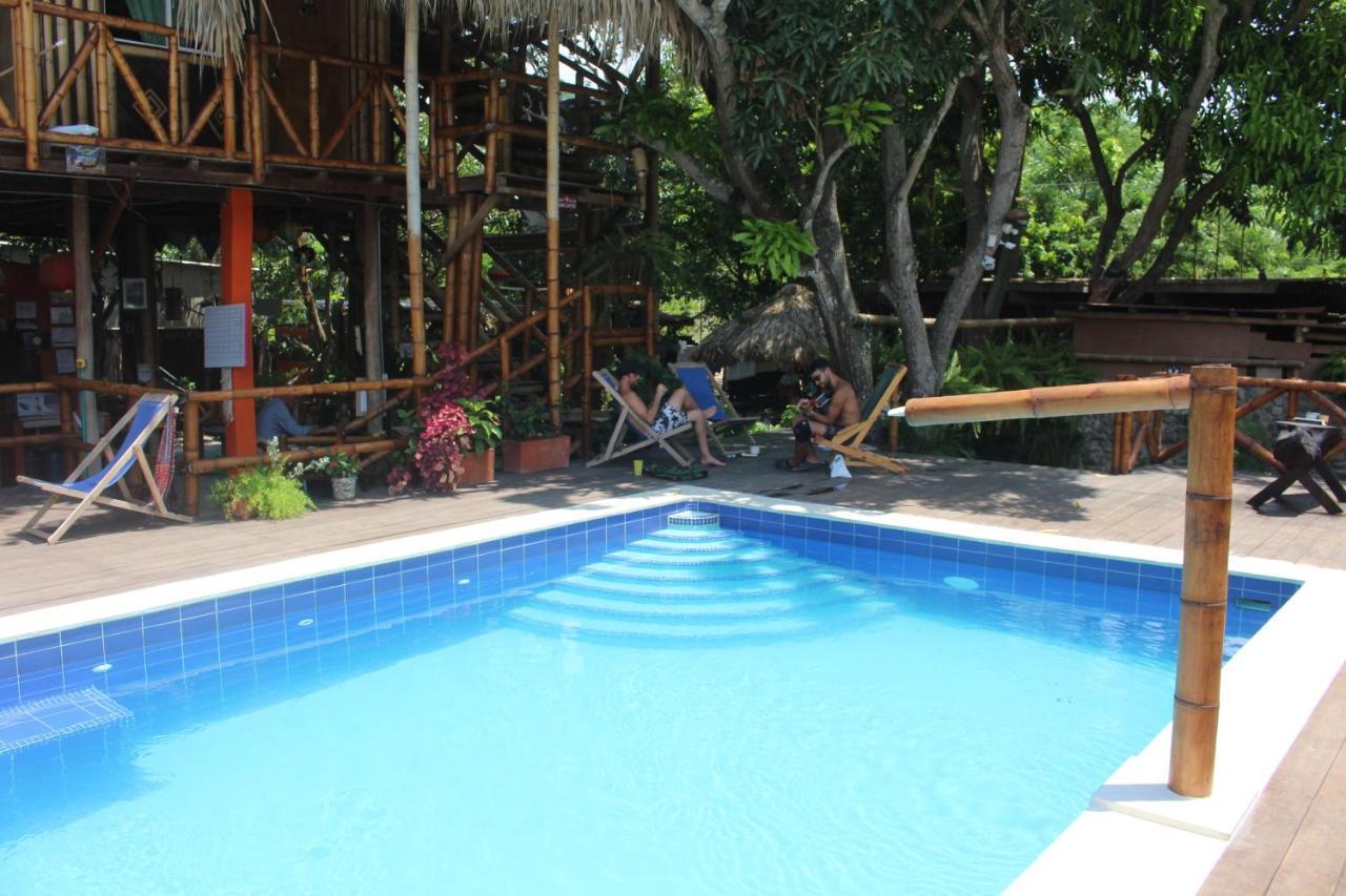 La Natura Hostel & Pool Паломино Екстериор снимка